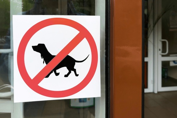 Are Dogs Allowed in Aldi